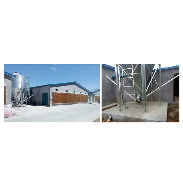 梧州肉鸡自动送料系统