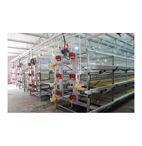 梧州肉鸡笼养系统