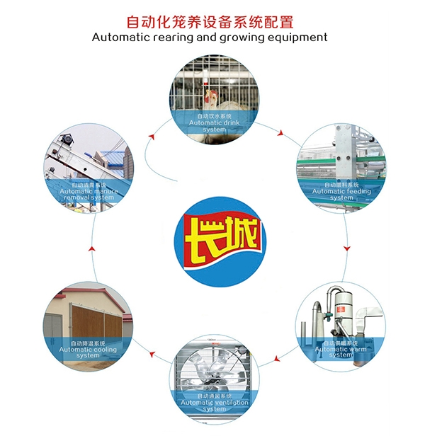 梧州肉鸡自动饮水系统