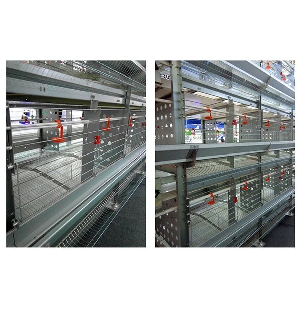 酒泉层叠式种鸡笼养装备