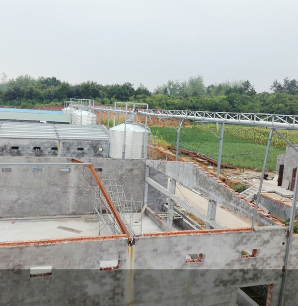 酒泉蛋鸡自动送料系统