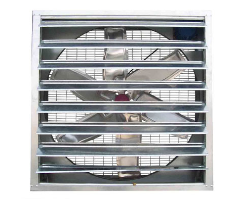 怎样确保蛋鸡装备有用透风？？