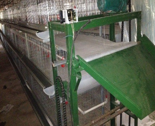 蛋鸡装备传送带式清粪机常见的这些问题你都知道吗？？