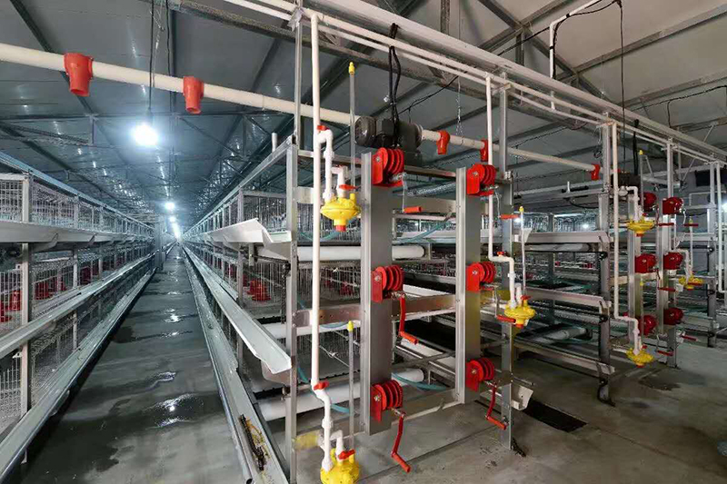 全自动养鸡装备的种类及特点你知道吗？？？