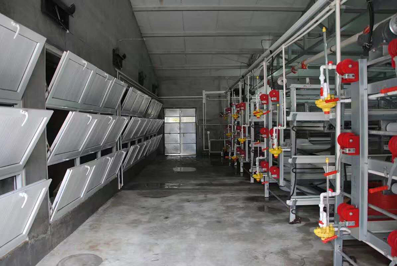 怎样治理肉鸡养殖场的肉鸡装备？？？