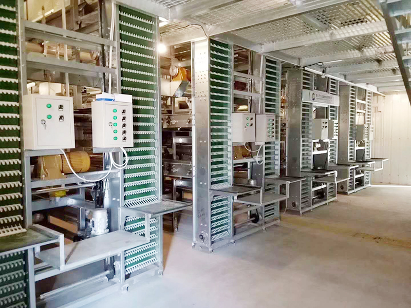 蛋鸡装备的养殖密度是怎样的呢？？？